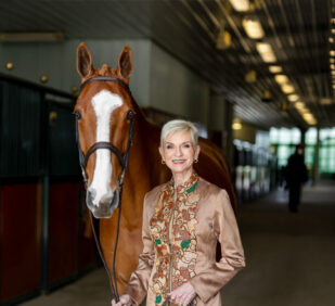 we horse photo